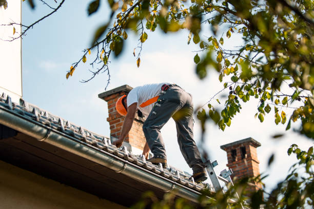 Best Roof Ventilation Installation  in Branchville, SC